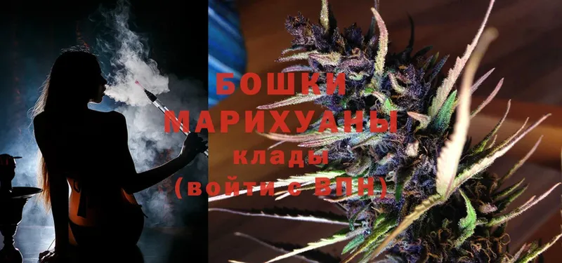 Бошки марихуана OG Kush  Грайворон 